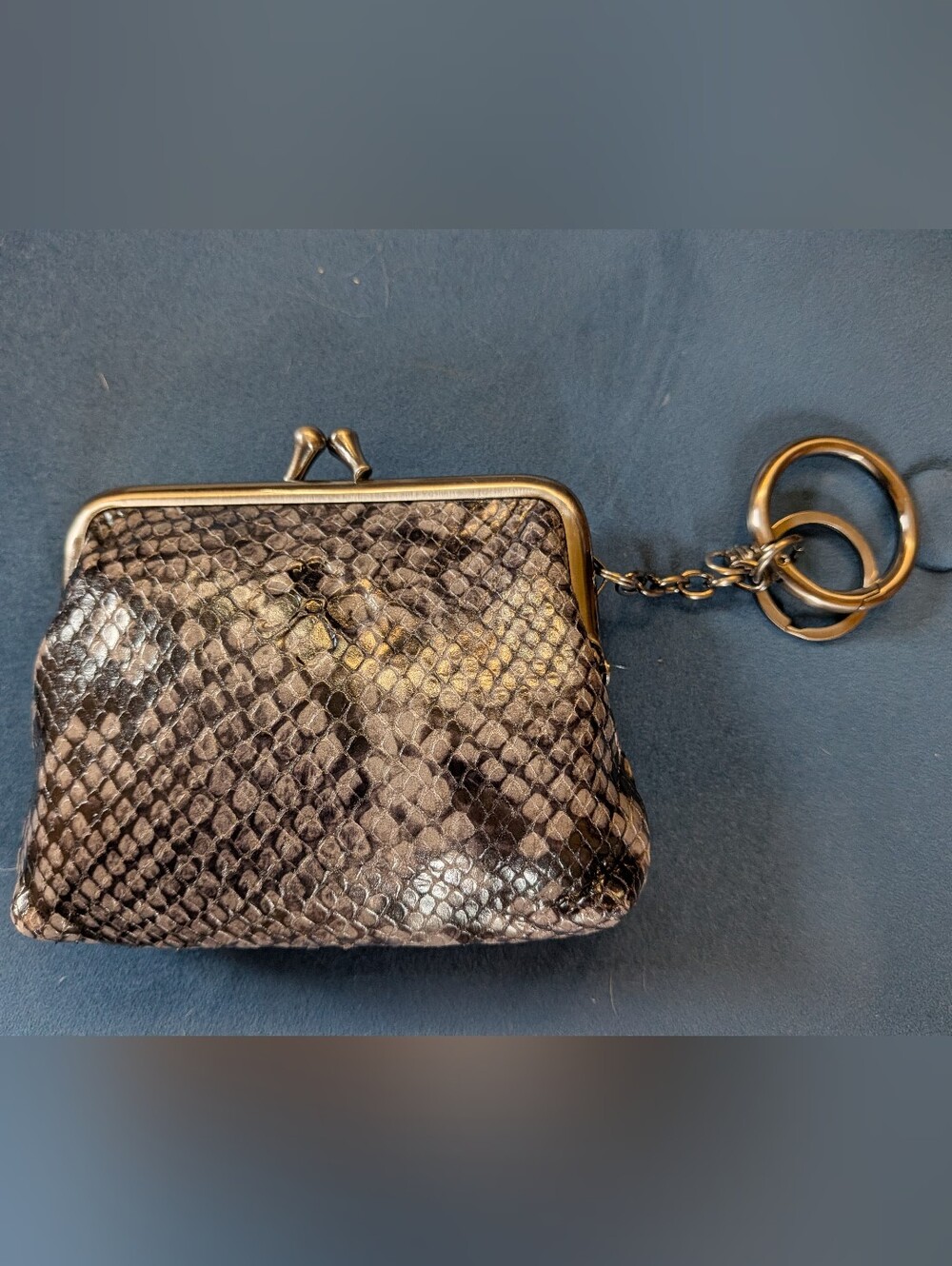 Patricia Nash Metallic Snake-Embossed Clutch Borse Coin Purse - Gray